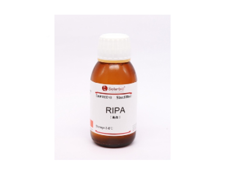 高效RIPA裂解液(组织/细胞)